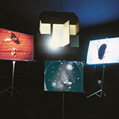 X170y170_142_uma-mosca-no-meu-filme_p